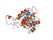 1so8: Abeta-bound human ABAD structure [also known as 3-hydroxyacyl-CoA dehydrogenase type II (Type II HADH), Endoplasmic reticulum-associated amyloid beta-peptide binding protein (ERAB)]