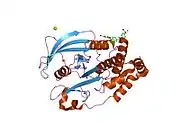 1t49: Allosteric Inhibition of Protein Tyrosine Phosphatase 1B