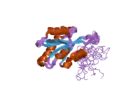 1tmw: Solution structure of Human Coactosin Like Protein D123N