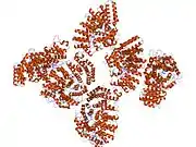 1tno: Rat Protein Geranylgeranyltransferase Type-I Complexed with a GGPP analog and a KKKSKTKCVIM Peptide Derived from K-Ras4B