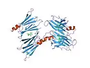 1tz8: The monoclinic crystal structure of transthyretin in complex with diethylstilbestrol