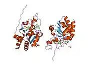 1u31: recombinant human heart transhydrogenase dIII bound with NADPH