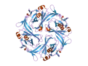 1u4f: Crystal Structure of Cytoplasmic Domains of IRK1 (Kir2.1) channel