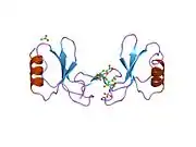 1u4m: human RANTES complexed to heparin-derived disaccharide III-S