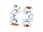 1u4r: Crystal Structure of human RANTES mutant 44-AANA-47