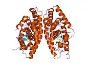 1uhl: Crystal structure of the LXRalfa-RXRbeta LBD heterodimer