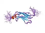 1ujt: Solution structure of the second fibronectin Type III domain of human KIAA1568 protein