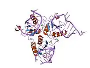 1urn: U1A MUTANT/RNA COMPLEX + GLYCEROL