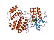 1wbs: Identification of novel p38 alpha MAP kinase inhibitors using fragment-based lead generation