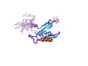 1wfg: PDZ domain of human RIM2B