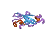 1wuz: Structure of EC1 domain of CNR