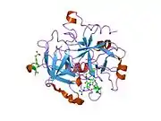 1xm1: Nonbasic Thrombin Inhibitor Complex