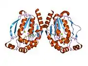1xrj: Rapid structure determination of human uridine-cytidine kinase 2 using a conventional laboratory X-ray source and a single samarium derivative