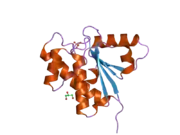 1xww: Crystal Structure of Human B-form Low Molecular Weight Phosphotyrosyl Phosphatase at 1.6 Angstrom Resolution