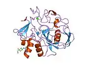 1y1e: human formylglycine generating enzyme