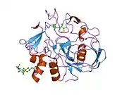 1y1f: human formylglycine generating enzyme with cysteine sulfenic acid