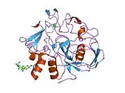 1y1h: human formylglycine generating enzyme, oxidised Cys refined as hydroperoxide
