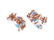 1y8q: SUMO E1 ACTIVATING ENZYME SAE1-SAE2-MG-ATP COMPLEX