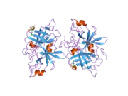 1ybw: Protease domain of HGFA with no inhibitor