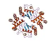 1yla: Ubiquitin-conjugating enzyme E2-25 kDa (Huntington interacting protein 2)