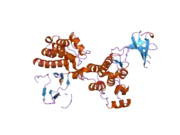 1yoj: Crystal structure of Src kinase domain