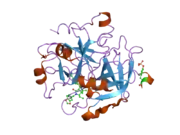 1ypj: Thrombin Inhibitor Complex