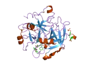 1ypk: Thrombin Inhibitor Complex