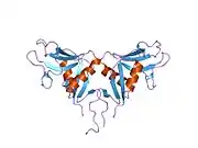 1ypu: Human Oxidized Low Density Lipoprotein Receptor LOX-1 C2 Space Group