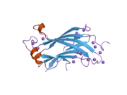 1yy6: The crystal structure of the N-terminal domain of HAUSP/USP7 complexed with an EBNA1 peptide