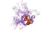 1z1m: NMR structure of unliganded MDM2