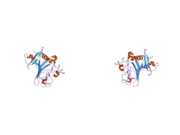 1z3s: Angiopoietin-2 Receptor Binding Domain