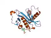 1z4r: Human GCN5 Acetyltransferase