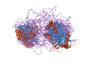 1z87: solution structure of the split PH-PDZ Supramodule of alpha-Syntrophin