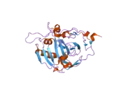 1z93: Human Carbonic Anhydrase III:Structural and Kinetic study of Catalysis and Proton Transfer.