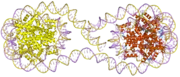 1zbb: Structure of the 4_601_167 Tetranucleosome
