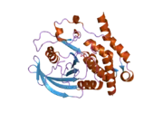 1zc0: Crystal structure of human hematopoietic tyrosine phosphatase (HePTP) catalytic domain