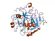 1zgi: thrombin in complex with an oxazolopyridine inhibitor 21