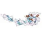 1zjk: Crystal structure of the zymogen catalytic region of human MASP-2