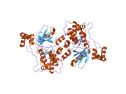 1zmv: Catalytic and ubiqutin-associated domains of MARK2/PAR-1: K82R mutant