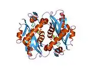 1zn7: Human Adenine Phosphoribosyltransferase Complexed with PRPP, ADE and R5P