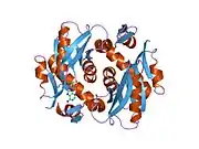 1zn9: Human Adenine Phosphoribosyltransferase in Apo and AMP Complexed Forms