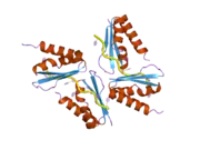 1ztg: human alpha polyC binding protein KH1