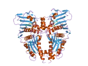 1zxm: Human Topo IIa ATPase/AMP-PNP