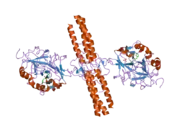 2a45: Crystal structure of the complex between thrombin and the central ""E"" region of fibrin