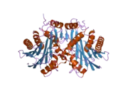 2a8l: Crystal structure of Human Taspase1 (T234A mutant)