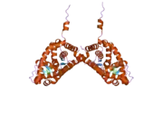 2aa6: Mineralocorticoid Receptor S810L Mutant with Bound Progesterone