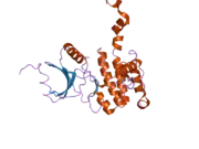 2ac3: Structure of human Mnk2 Kinase Domain