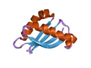 2acm: Solution structure of the SEA domain of human mucin 1 (MUC1)