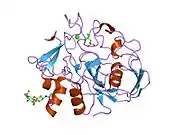 2afy: Formylglycine generating enzyme C341S mutant