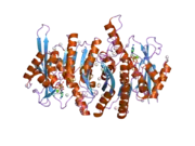 2ajp: Crystal structure of a human pyridoxal kinase